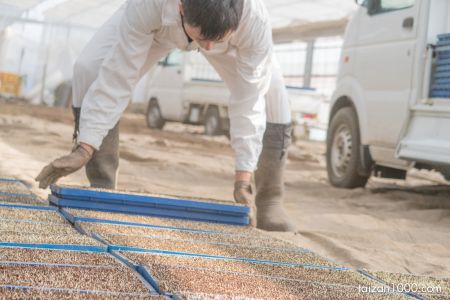 Canon PowerShot G7 X
(f/3.2,1/200sec,ISO-320,36.8mm)