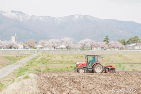 Canon EOS 50D
(f/6.3,1/400sec,ISO-100,42mm)