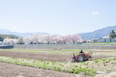 Canon EOS 50D
(f/4.5,1/500sec,ISO-100,24mm)