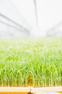 Canon EOS 50D
(f/2.8,1/640sec,ISO-100,38mm)