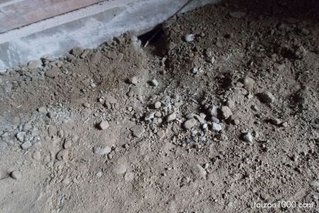 Canon PowerShot G7 X
(f/3.5,1/60sec,ISO-5000,8.8mm)